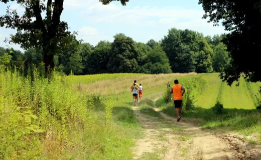 Bieg Szlak Trafi w Parchatce - 1.8.2015 - 18